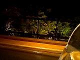 061022_onsen_room2