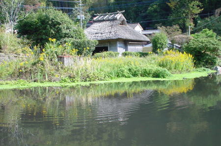 下ん湯