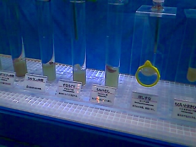 東海大学海洋科学博物館 (9).jpg