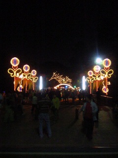 夜の駿府公園２