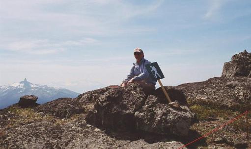 whistler peak