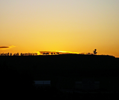 ラベンダー畑の夕焼け