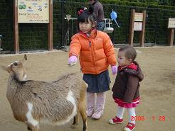 060122動物園1