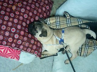 変な格好、、、