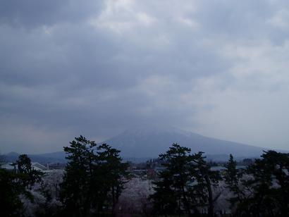 sakura