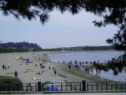 海の公園