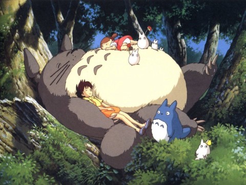 totoro