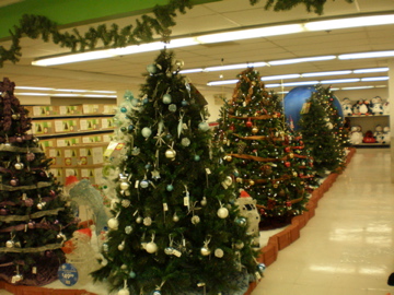PA010102.jpg