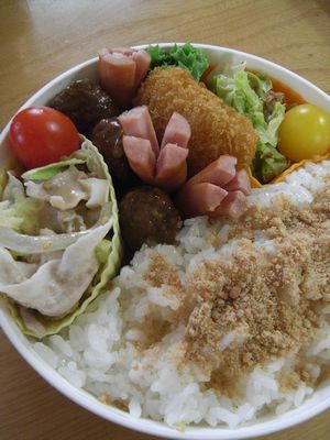 080429お弁当.JPG