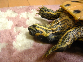 空は青いなぁ・・