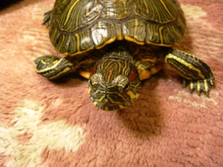 少しきれいになりました