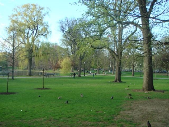 Boston Garden Park 03.JPG