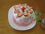 cake5