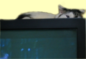 2013_2.jpg