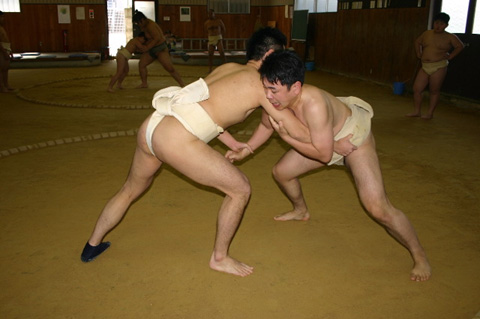 sumo01.jpg