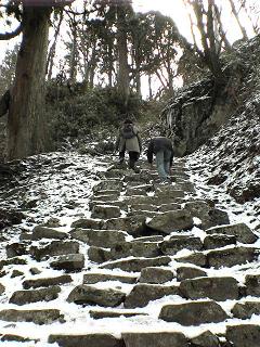 残ってるょ雪…