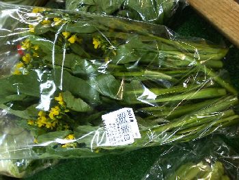 ふれあいの里しおや アスパラ菜.