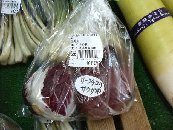 ふれあいの里しおや リーフチコリ