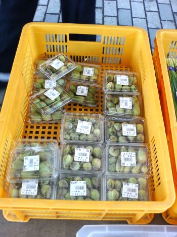 道の駅ばとうのふきのとう