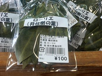 ふれあいの里しおや ローリエ