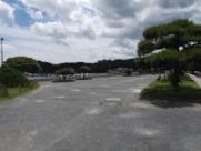 DSCF5436.jpg