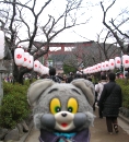鶴ケ岡
