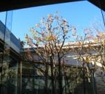 相模原市博物館４