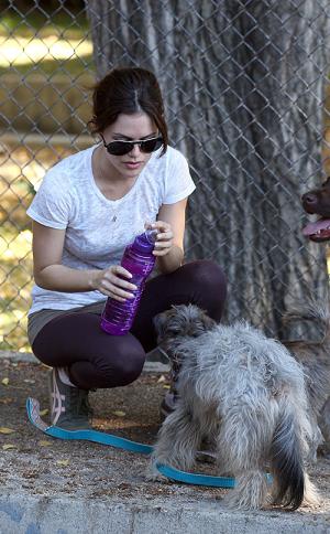 Rachel Bilson