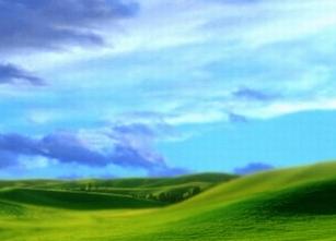 緑の草原