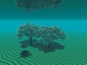 水中の木