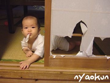 【夜行性ヤギ】美味しいかい？