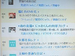 ブログ村