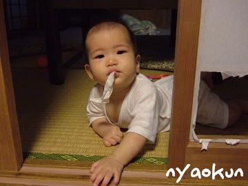 【熱帯夜低気圧】今日はヤギですか。