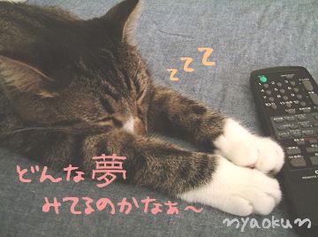 リモコンはキープ中。