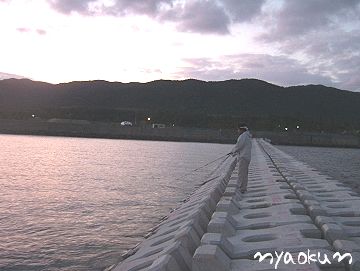 【2007初】イカ釣りの様子