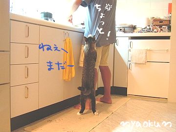調子に乗ると～