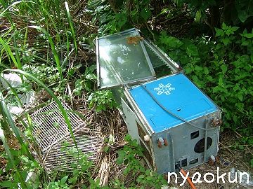 【石垣の海で】不法投棄はいけません！