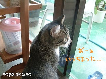 逃げられた・・・