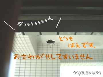 ボクを夢中にさせる