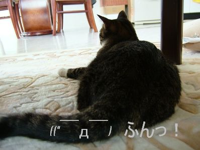 撮影気分じゃないと・・・