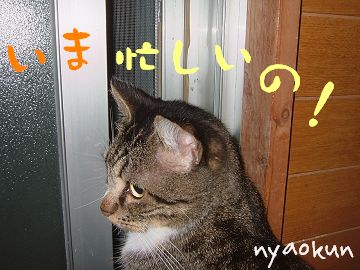 【夜中パト】それは失礼しました・・。