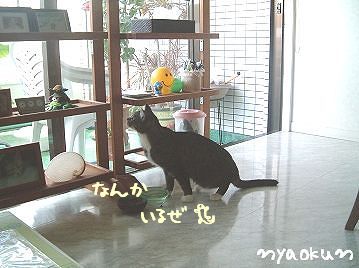 なにかを発見！