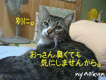 【オッサン猫】ぐうたら好き。