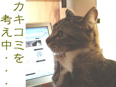 今日のネタはと・・・