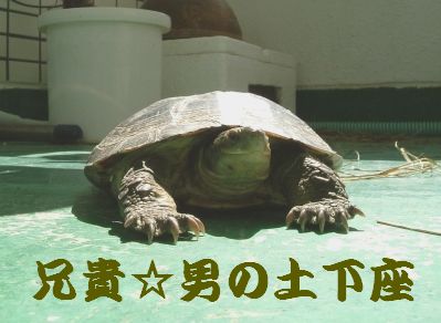 男はケジメをつける