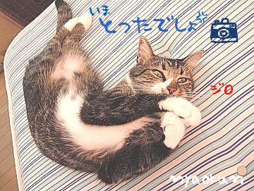もぅ！困るよ～