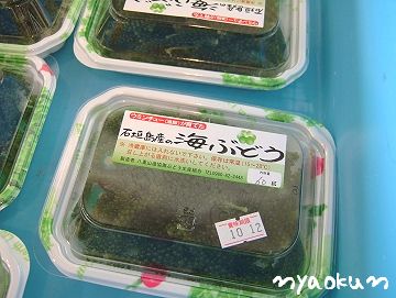 石垣産の海ぶどう