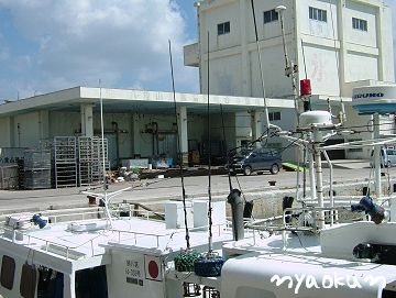 八重山漁協（海人の仕事場です）