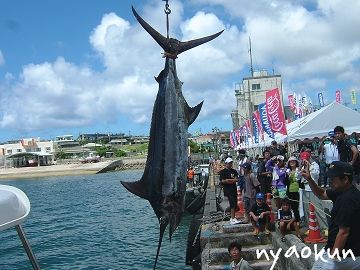 港にあがるカジキと人々。