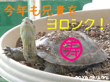 【兄貴】新年のご挨拶です。